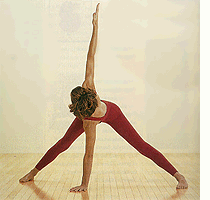 PARIVRTTA-TRIKONASANA-2