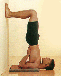 Salamba Sarvangasana/ShoulderStand with Wall Support Yoga Pose