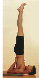 Supported Shoulderstand Pose Feet Thighs Bridge Pose Partner Yoga (Salamba  Sarvangasana Pada Thighs Setubandha Sarvangasana Partner), Yoga Sequences,  Benefits, Variations, and Sanskrit Pronunciation